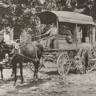 photo of horse pulling carriage with people and produce